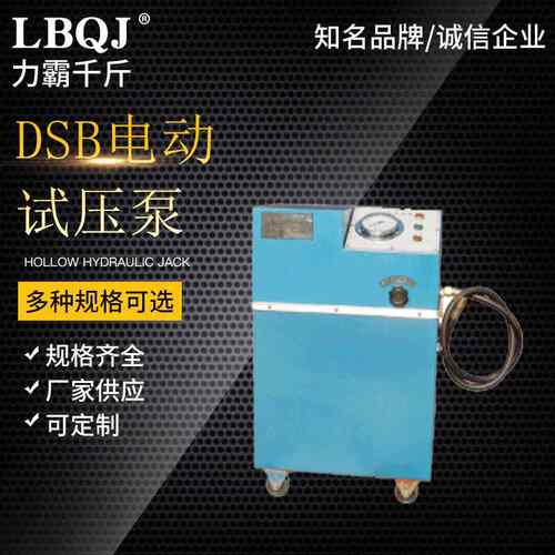 厂家供应DSB手提试压泵小型试压泵手提式电动试压泵