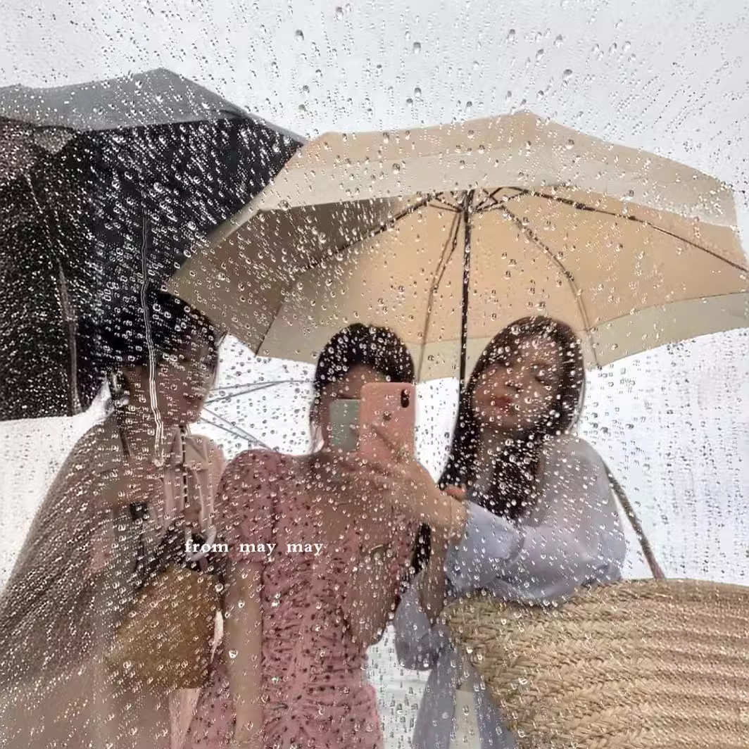 maymay 这把伞也太温柔了吧～纯实木手柄日系折叠雨伞小巧便携