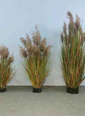 仿真绿植盆室内装饰造景植物假50323栽大型芦苇假花仿盆真花盆栽