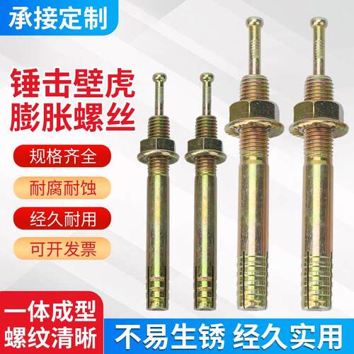 举升机膨胀螺丝龙门架锤击壁虎举升机一钉得击芯膨胀螺丝专用
