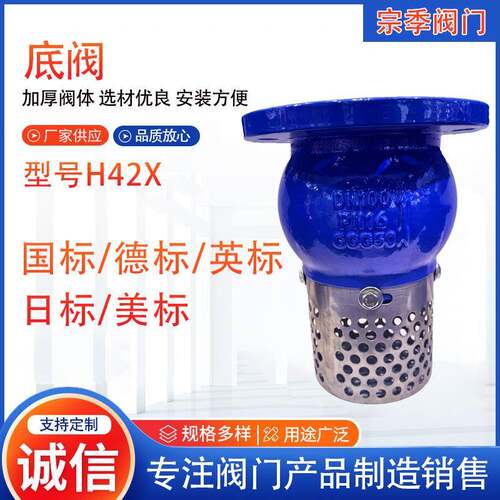 厂家供应H42X底阀球墨铸铁出口过滤网水泵止回阀防止逆流阀底阀