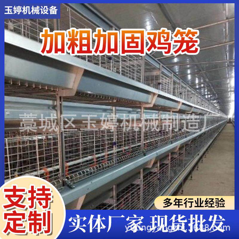 供应蛋鸡笼自动捡蛋机自动层叠蛋鸡笼捡蛋带蛋集蛋一体机热镀锌