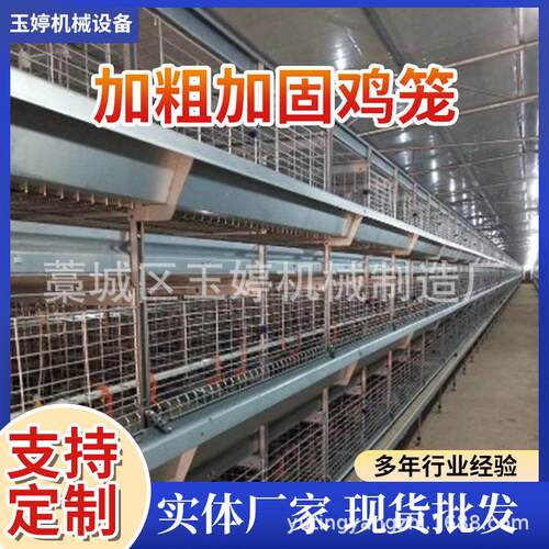 供应蛋鸡笼自动捡蛋机自动层叠蛋鸡笼捡蛋带蛋集蛋一体机热镀锌