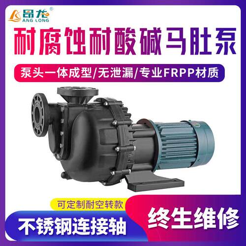 耐酸碱化工马肚泵2.2KW工业废水无泄漏大头泵卧式耐腐蚀自吸泵
