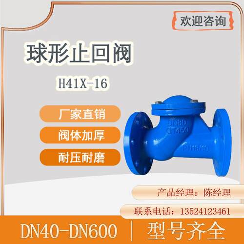 法兰球形止回阀 滚球式球型止回阀 HQ41X-16球形止回阀DN40-DN500