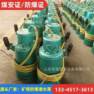 防爆潜水排沙电泵 132kw 132KW隔爆型排污泵 现货供应BQS800