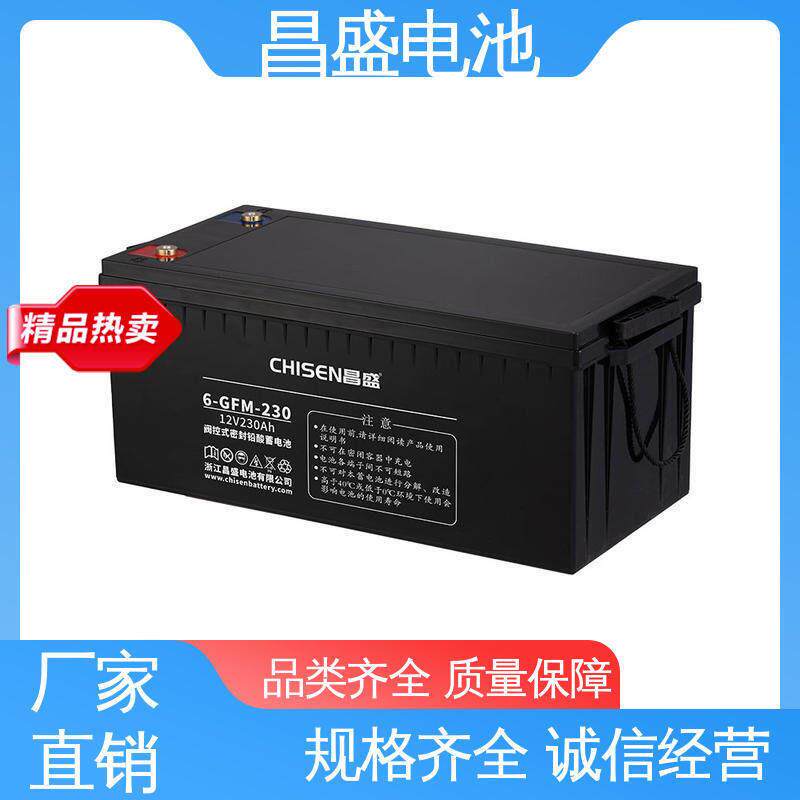 昌盛 6-GFM-230 ups电源 邮电通信系统 铅酸蓄电池 现货供应