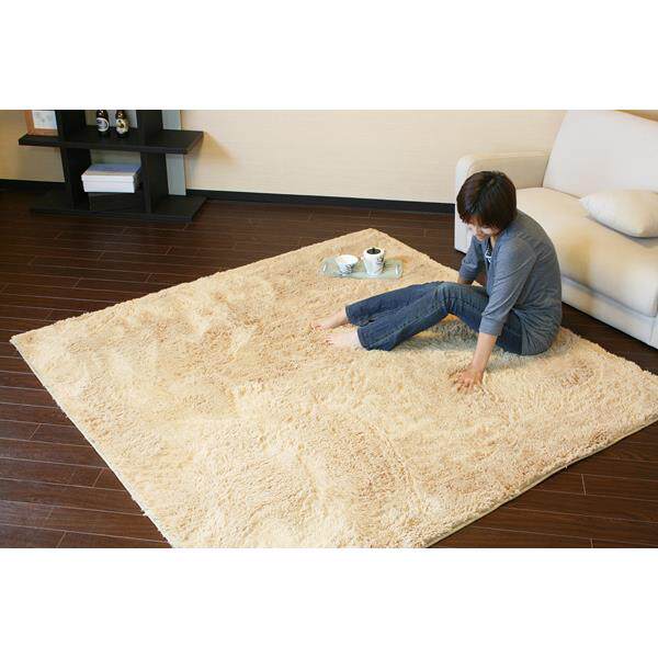 PV绒长毛地毯客厅茶几沙发卧室床边瑜伽丝毛进门地垫脚垫