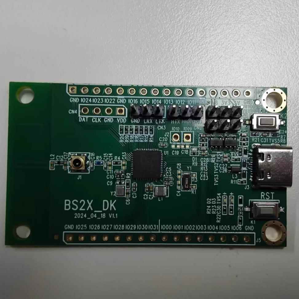 BS2X_DK系列芯片小开 发板