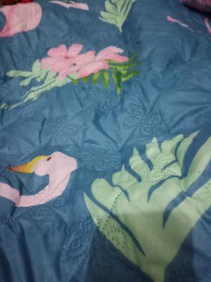 请教老铁入手馨丝蓝空调被怎么样，初步体验效果好不好呀？