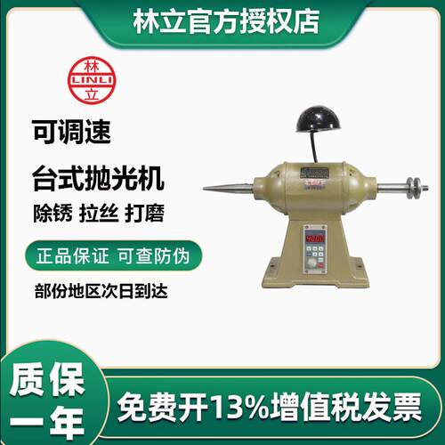 台式变频抛光机磨光机电动打磨机小型家用变速磨光机尖平头