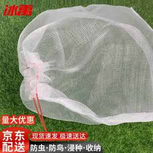 冰禹防虫网袋套袋瓜果防果蝇防鸟浸种袋葡萄果树水果纱网袋120