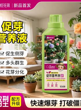 艾尚棵植物营养液家庭园艺盆栽通用花肥水培土培肥料发财多肉专用