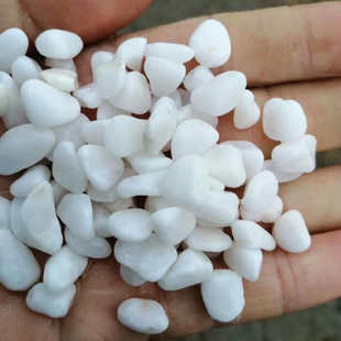 厂家批发白石子鹅卵石彩石园艺盆栽石头多肉铺面庭院造景砾石