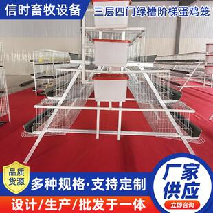 A型阶梯蛋鸡笼三层四门阶梯蛋鸡笼冷镀锌鸡舍家用养殖场源头厂家