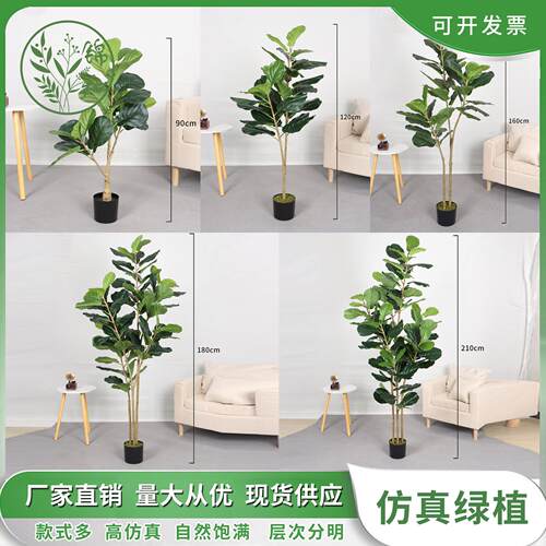 北欧仿真绿植散尾葵 龟背 漆木叶等室内客厅轻奢装饰摆件落地造景