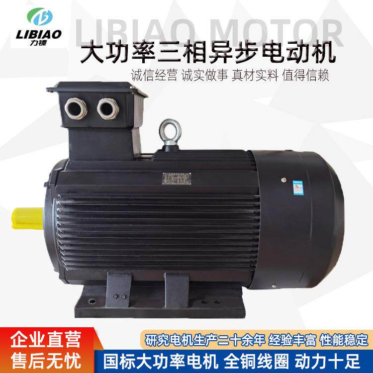 6极标准大功率电机185/200/220/250/280W三相异步电动机380V直销