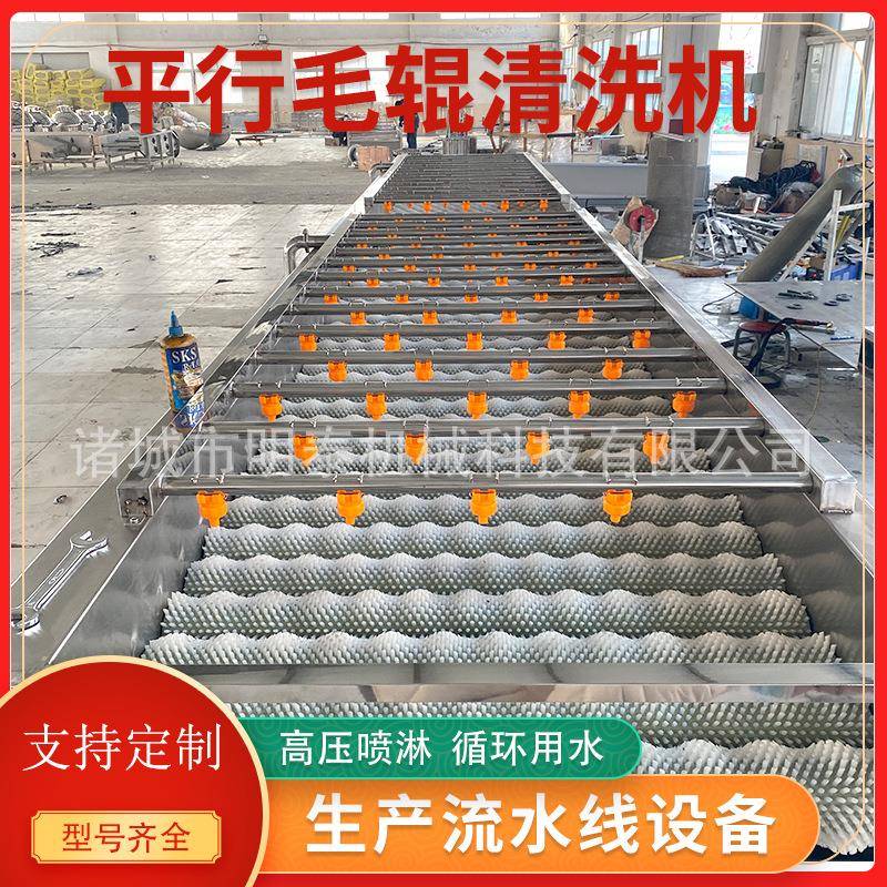 橘子平行毛辊清洗机沃柑脐橙高压喷淋洗果机海蛎子扇贝去泥机