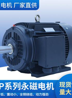 山东力久超高效永磁变频电动机TYP系列3000rpm永磁同步电机150Hz