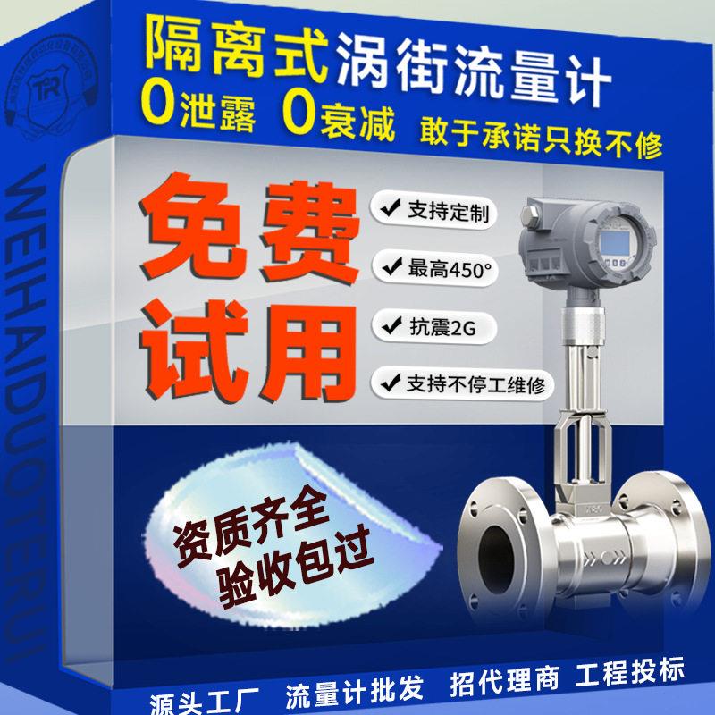 超级抗震型涡街流量计流量控制器测蒸汽DN250DN100蒸汽流量计