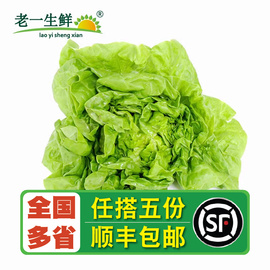 老一生鲜新鲜奶油生菜，波斯顿生菜西餐沙拉蔬菜500g