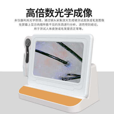 头皮检测仪毛囊分析皮肤检测仪拍照定格头皮理疗仪美容院头皮分析