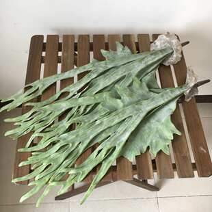 仿真鹿角绿草人造花墙面假 装饰植物蕨类植 壁挂厂家直销家居仿真
