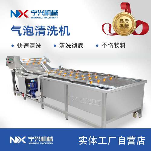 宁兴全自动杨梅气泡清洗设备大型香菜气泡清洗机多功能洗菜机