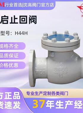 导热蒸汽单向阀油H44H-16C旋启止回阀铸钢高温式逆止回DN200600