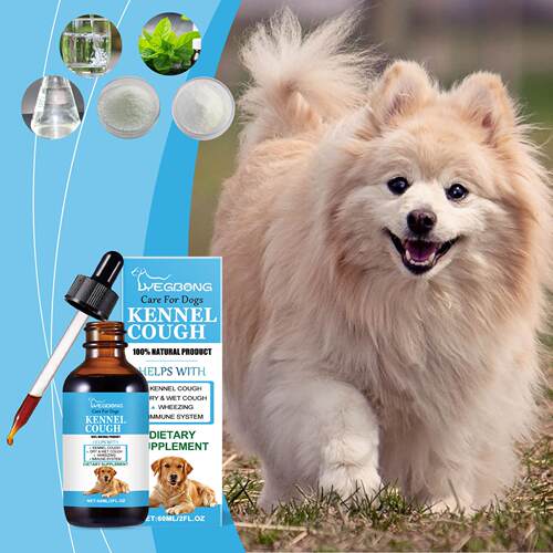 YEGBONG Dog Syrup - Special Nutritional Supplement for Pets