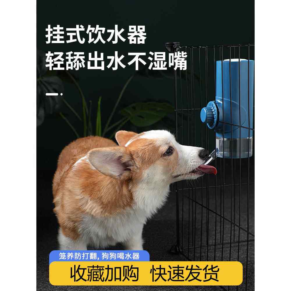 采购产品狗饮水器,非湿口饮水器,挂狗笼水壶,小狗,熊猫,宠物