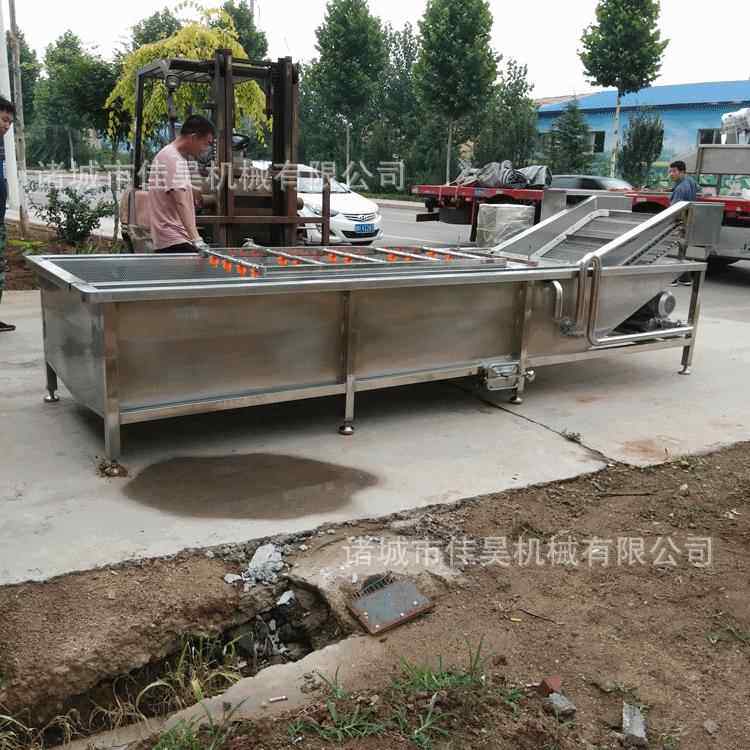 果蔬清洗机洗菜机红薯玉米清洗机去农药果蔬清洗机