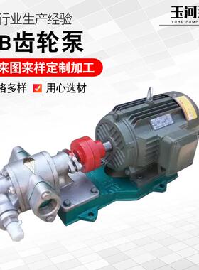 供应KCB-200型铸钢齿轮泵小型增压泵高粘度抽油泵