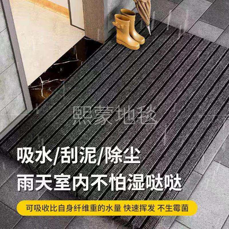 七条纹地毯耐脏防滑地毯简约入户门垫家用厨房地垫商用店铺满铺垫