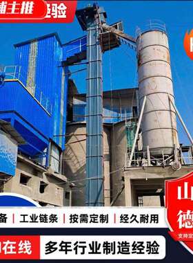 NE30斗式提升机砂石水泥斗提机矿用物料提升输送机NE型TH型提升机