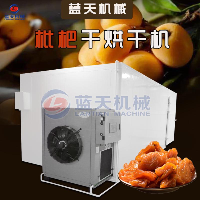 大型枇杷果干烘干机空气能琵琶干烘干机全自动芦橘芦枝烘干设备