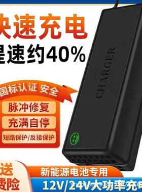 电动叉车充电器液压堆高车推高12V24V20A30A观光代步车电瓶充电机