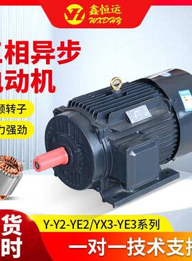 三相异步电动机YE2-200L1-2电机机床设备大功率风机用三相电动机