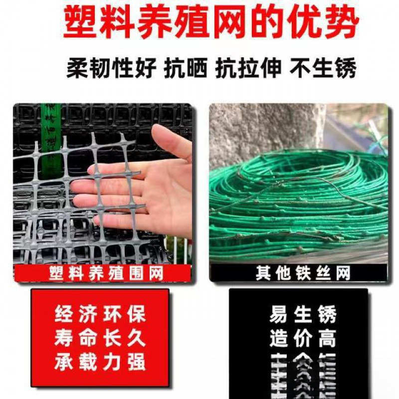 塑料围网养殖防护拦鸡鸭胶网家用菜园玉米护栏栅栏户外养鸡围栏网
