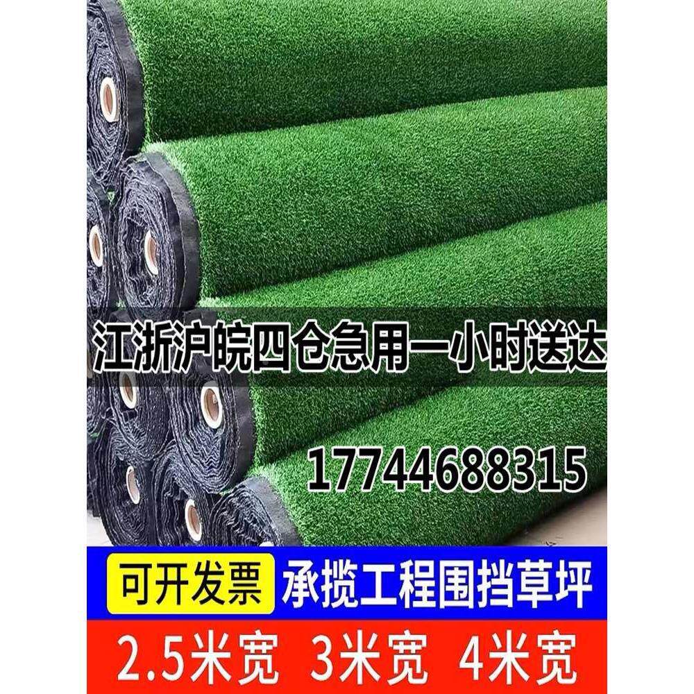 草坪围挡市政外墙绿化草工程围墙绿化操场背胶绿皮仿真绿色植物Lo