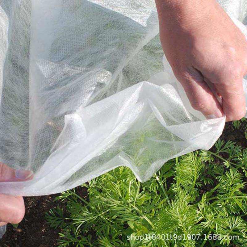 工厂供应水稻无纺布育苗育秧保温保湿农用防寒新料抗老化加厚防虫