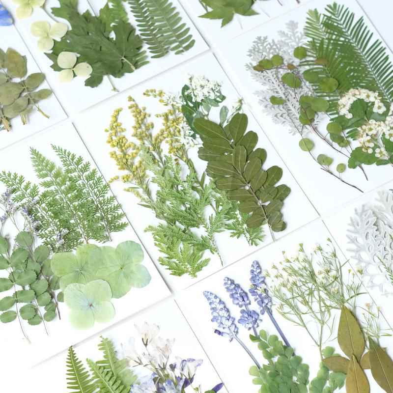 树叶干花压花植物标本相框diy手工材料包幼儿园装饰画贴纸滴胶图片