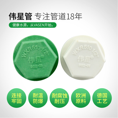 伟星管业4分PPR冷热水管自来水管管件闷头配件1/2丝堵堵头20
