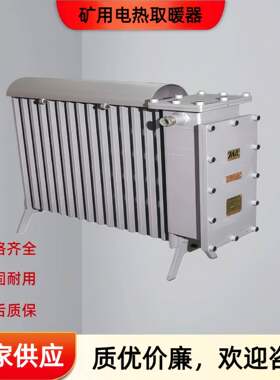 矿用电热取暖器升温快9片11片防爆电热油汀矿用防爆电暖器