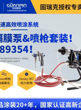 Finex喷涂套装Husky307隔膜泵空气喷枪家具木器喷漆