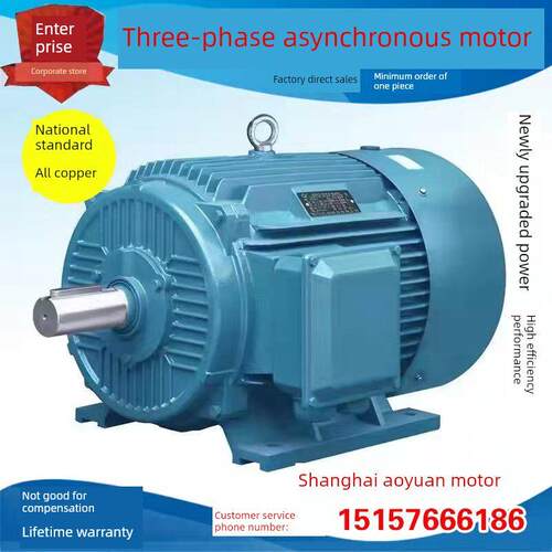 三相异步电动机Yye2系列电动机新铜国标Y200L-4极30Kw千瓦电动机3