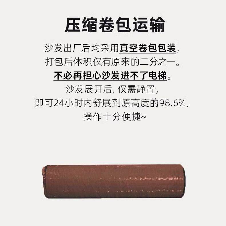 Compression Sofa跨境小户型沙发床折叠两用直排客厅双人位布沙发