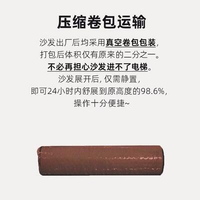 Compression Sofa跨境小户型沙发床折叠两用直排客厅双人位布沙发