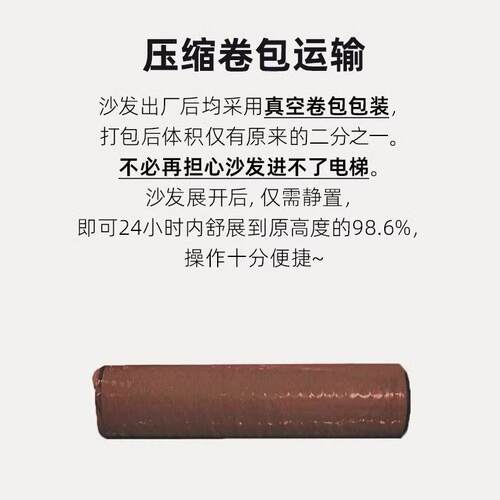 Compression Sofa跨境小户型沙发床折叠两用直排客厅双人位布沙发