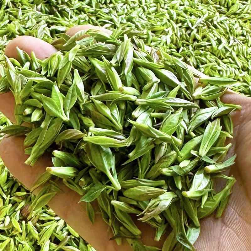 春季2024年新茶叶贵州余庆正宗小叶苦丁茶青山绿水嫩芽茶散装100g